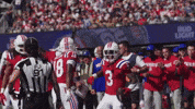 Football Celebration GIF by New England Patriots