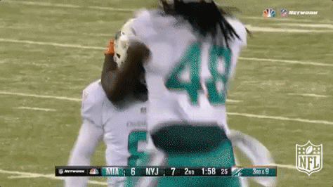 Miami Dolphins Football GIF by NFL