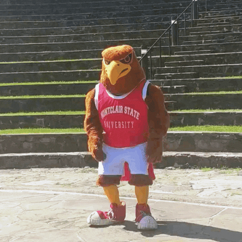 Montclair State University GIF by Rocky the Red Hawk