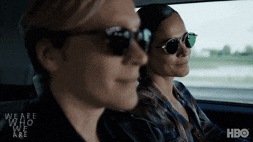 Driving Chloe Sevigny GIF by We Are Who We Are