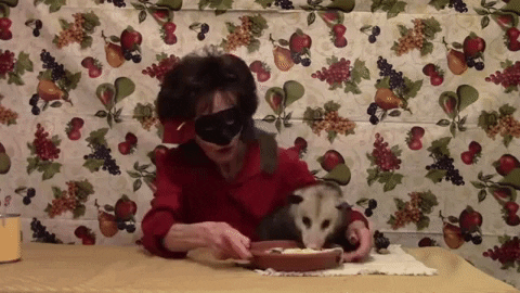 GIF by wildKitty
