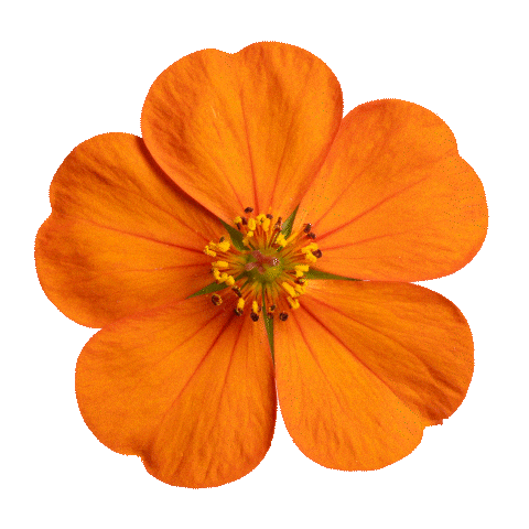 Amazon Port Sticker by Amazon Ads