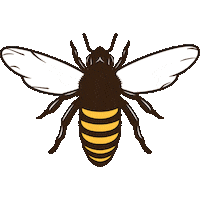 Bee Diabetes Sticker by Organising Chaos