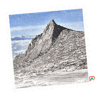 Independence Day Cat Sticker by Passionationco