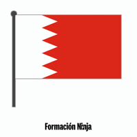 Flag Bandera GIF by Formación Ninja