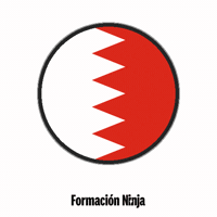 Flag Bandera GIF by Formación Ninja