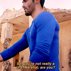 the desert wolf GIF by mtv