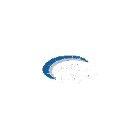 Libertadores Asb Sticker by ABSOLUT Sport Brasil