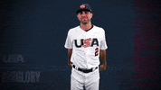 Pro GIF by USA Baseball