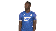 Football Hoffe Sticker by Bundesliga
