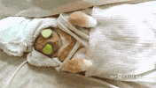 facial day GIF