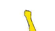 Animation Click Sticker by youmotion.com