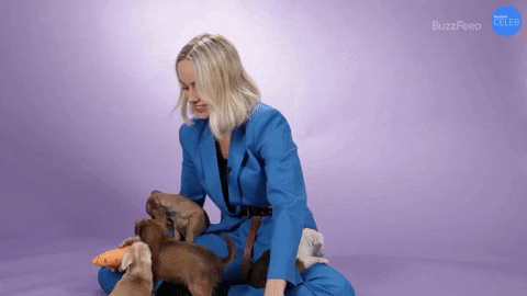 You Are Hilarious Brie Larson GIF by BuzzFeed