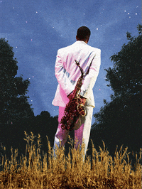 ojingode night jazz washington outdoor GIF
