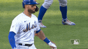 New York Sport GIF by MLB