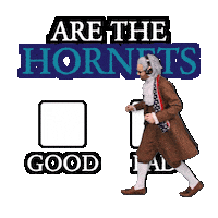 Charlotte Hornets Buzz City Sticker