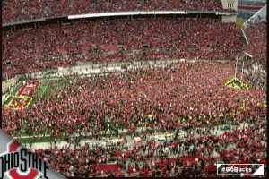 Gobucks GIF by Ohio State Athletics