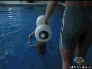 exercise bikini GIF by Cheezburger