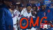 New York Mets Smile GIF by MLB