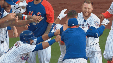 Happy Ny Mets GIF by New York Mets