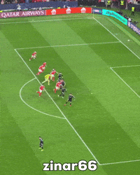 Benfica GIF