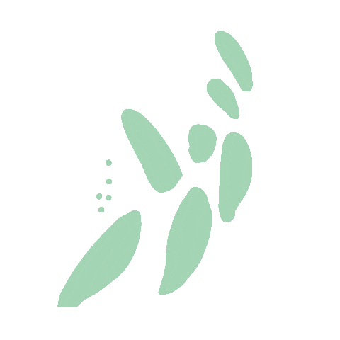 pacehawaii giphyupload kupukupu uhmanoa pacehawaii Sticker