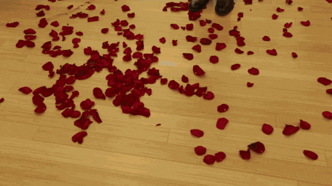 happy valentine's day GIF by theCHIVE