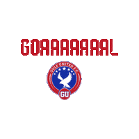 Football Goal Sticker by Gulf United FC