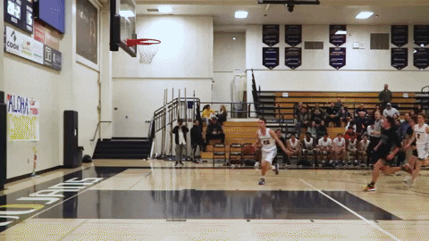 JSim giphygifmaker GIF