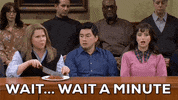 Snl GIF by Saturday Night Live