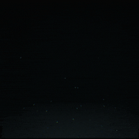 black and white snow GIF by Erica Anderson