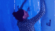 Unplug Pop Music GIF by Chloe Jane