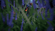 Frustrated Hi-Rez Studios GIF by Xbox