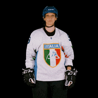 federazioneghiaccio hockey ice wintersport sportinvernali GIF