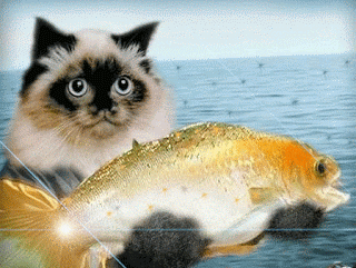 renaudleroux giphyupload GIF