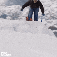 proskijor skiing wintersports horsebackriding skijoring GIF