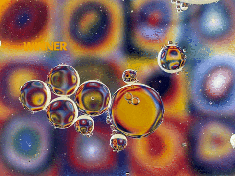 Germany Wow GIF by FranchiseCHECK.de