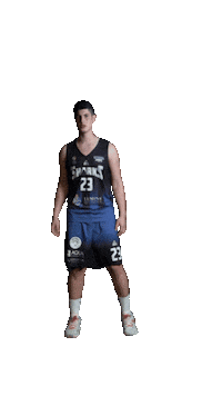 LagunaSharks sport basketball romania slam Sticker