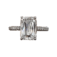 Platinum White Gold Sticker by Lauren B Jewelry