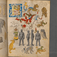 Middle Ages Jump GIF by Medieval Ideas Creative Lab, Cambridge