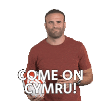 Jamie Roberts Reaction Sticker by PrincipalityBS