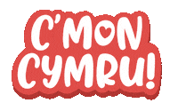 Welsh Rugby Wales Sticker