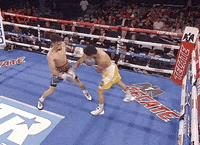 toprank fight fighting espn fighters GIF