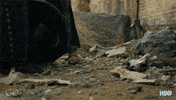 gameofthrones game of thrones hbo season 7 finale GIF
