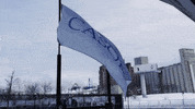 Martial Arts Winter GIF by Casol