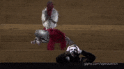 Peek A Boo Surprise GIF by Opernhaus Zürich