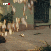 Sugar Uzgun GIF by TRT