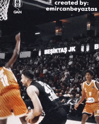 Ante Zizic GIF