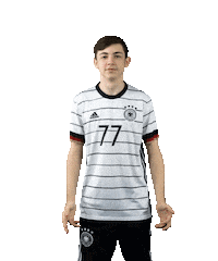 Germany Swipeup Sticker by DFB-Teams