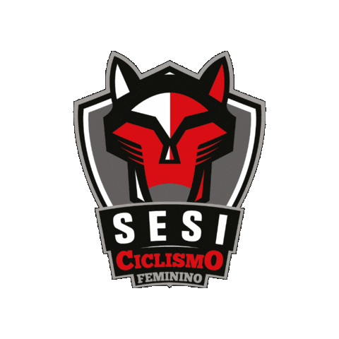 Sesisp Sticker by Sesi Esporte